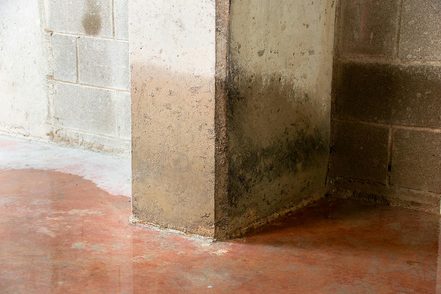 Oversvømmelse i kælder Skybrud giver vandskade i kælder